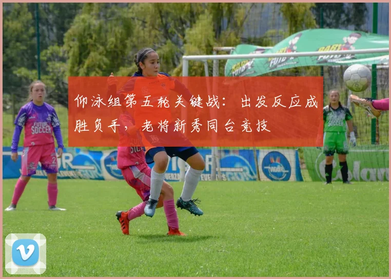 仰泳组第五轮关键战：出发反应成胜负手，老将新秀同台竞技
