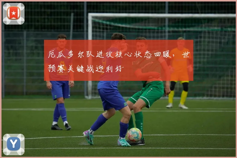 厄瓜多尔队进攻核心状态回暖，世预赛关键战迎利好